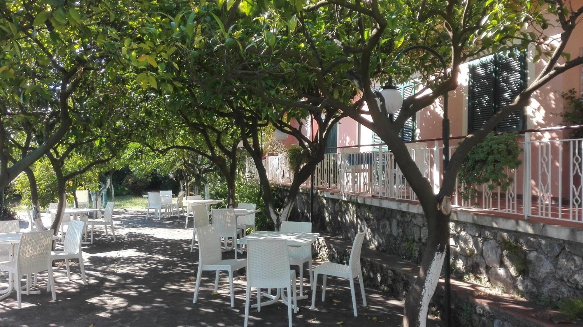 Hotel Villa Degli Aranci Maratea Exterior photo